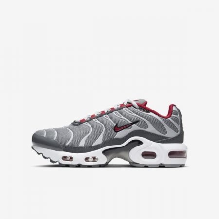Nike Shoes Air Max Plus | Particle Grey / Iron Grey / Grey Fog / University Red