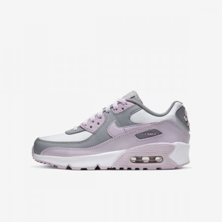 Nike Shoes Air Max 90 LTR | Particle Grey / Photon Dust / White / Iced Lilac