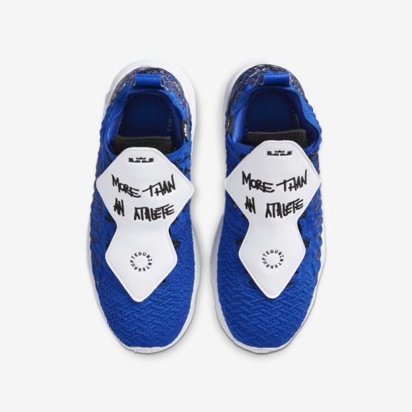 Nike Shoes LeBron 17 