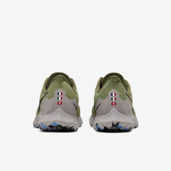 Nike Shoes Pegasus 36 Trail | Alligator / Atmosphere Grey / Light Blue / Anthracite